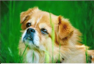 F76BC4A6-BB71-48A8-8BA8-573F8D4B7846