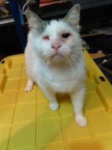 IMG_20160329_191901_burst_02