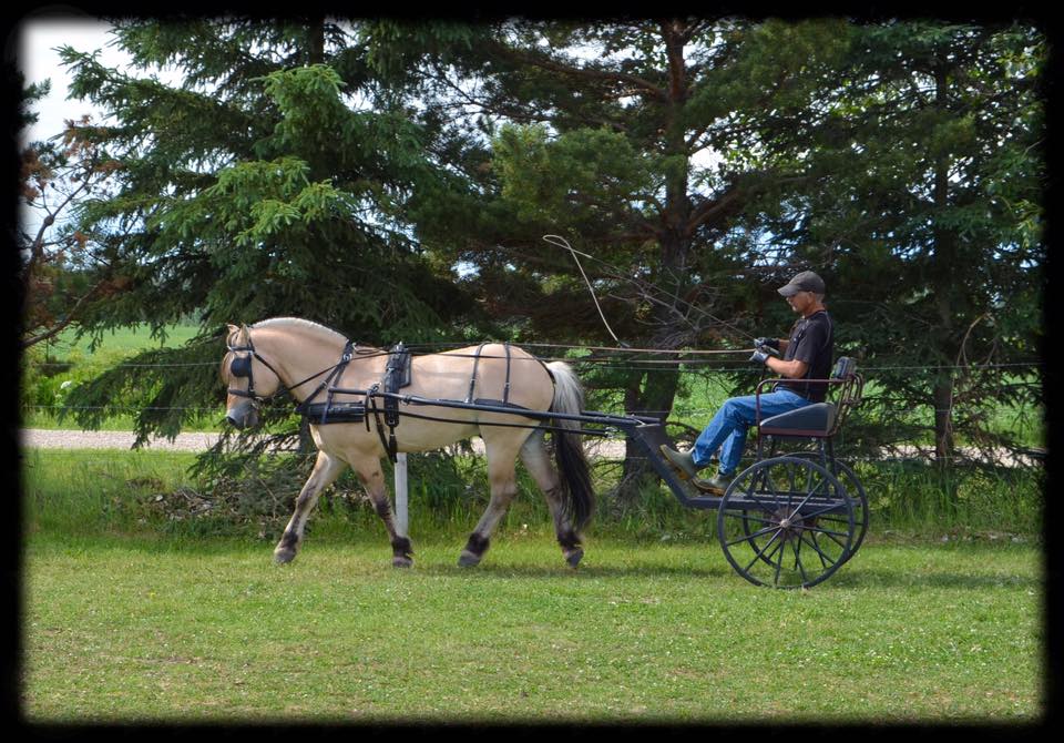 Anvil'sLynSam's36375128_10216103762885149_474150027107762176_n