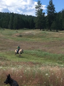 Anvil'sMagdaIMG_2281